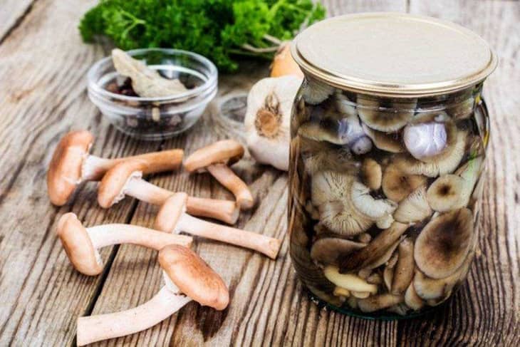 рецепт вкусного маринада Лавровый лист замечательно дополнит маринад для опят